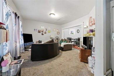 Turnkey investment opportunity with a tenant already in place - photo 8