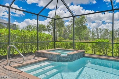 Experience elevated SOUTHWEST FLORIDA LIVING in this IMMACULATE - photo 4