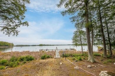 CISCO LAKE CHAIN- 395 feet of shared frontage on Big Lake; a 771 - photo 3