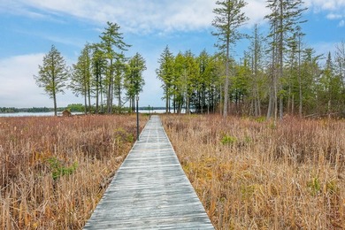 CISCO LAKE CHAIN- 395 feet of shared frontage on Big Lake; a 771 - photo 4