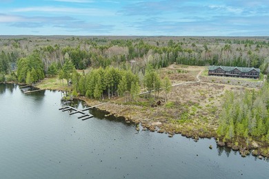 CISCO LAKE CHAIN- 395 feet of shared frontage on Big Lake; a 771 - photo 9