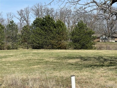 Lake Lot For Sale in Lebanon, Missouri