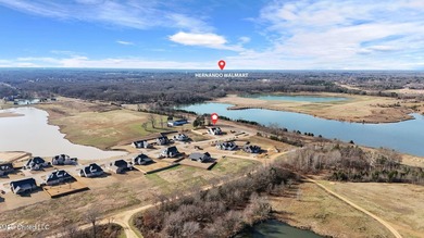 Custom-Built, Luxury NEW Construction on a 3/4 Acre Lot with new - photo 41