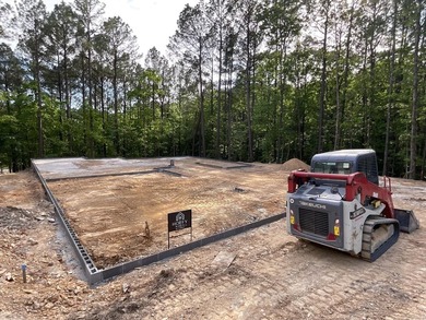Welcome to 10 Ideal Ln in Hot Springs Village, AR! This stunning - photo 1