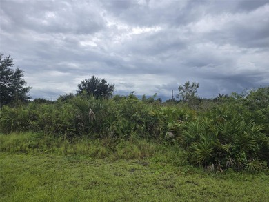 Lehigh Acres Area Lot For Sale in Lehigh Acres Florida