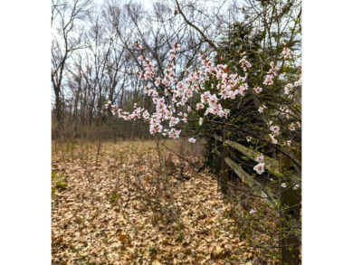 Lake Lot For Sale in Jackson, Michigan