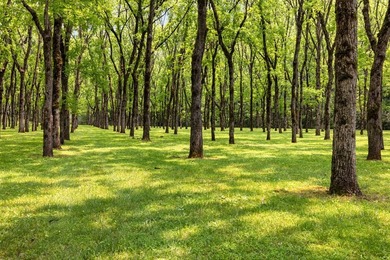 There is a Hidden Valley only 2 hours north of Atlanta where - photo 5
