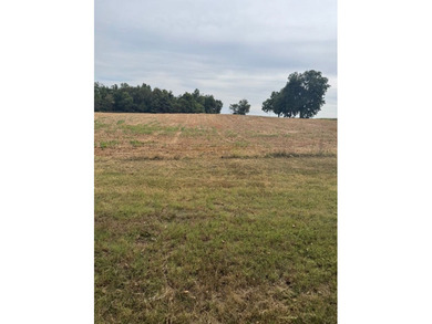 (private lake, pond, creek) Home For Sale in Dexter Missouri