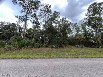 Lehigh Acres Area Lot For Sale in Lehigh Acres Florida