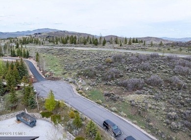 Set within the coveted Deer Crossing neighborhood of Promontory - photo 11