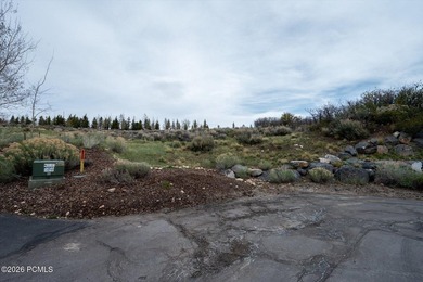 Set within the coveted Deer Crossing neighborhood of Promontory - photo 16
