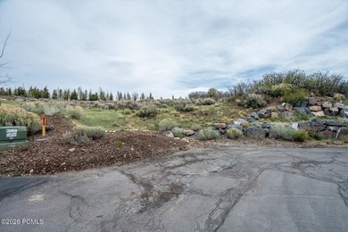 Set within the coveted Deer Crossing neighborhood of Promontory - photo 17