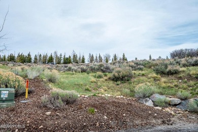 Set within the coveted Deer Crossing neighborhood of Promontory - photo 18