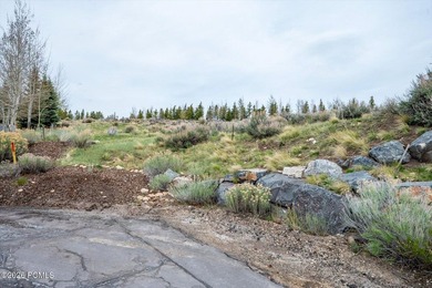 Set within the coveted Deer Crossing neighborhood of Promontory - photo 19