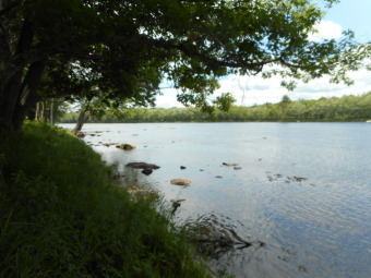 Penobscot River - Penobscot County Lot For Sale in Mattamiscontis Maine