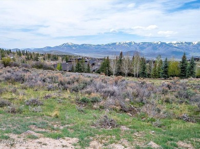 Set within the coveted Deer Crossing neighborhood of Promontory - photo 20