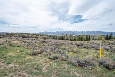 Set within the coveted Deer Crossing neighborhood of Promontory - photo 22