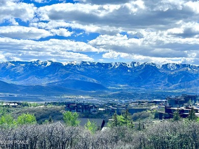 Set within the coveted Deer Crossing neighborhood of Promontory - photo 25