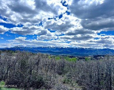 Set within the coveted Deer Crossing neighborhood of Promontory - photo 27
