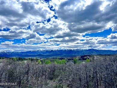 Set within the coveted Deer Crossing neighborhood of Promontory - photo 28