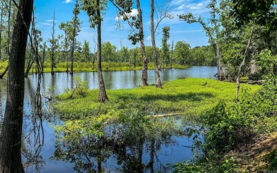Lake Lot For Sale in Maumelle, Arkansas