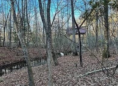 Nice creek front lot with lots of road frontage in Long Branch - photo 13
