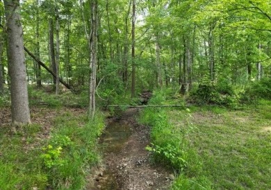 Nice creek front lot with lots of road frontage in Long Branch - photo 16