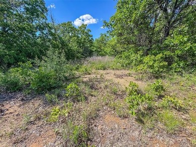 COME LIVE AT THE LAKE!!! This piece of land is close to ready - photo 8