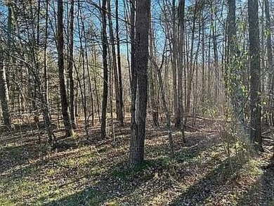 Nice creek front lot with lots of road frontage in Long Branch - photo 18