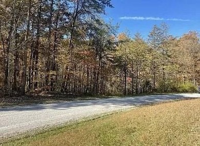 Nice creek front lot with lots of road frontage in Long Branch - photo 19