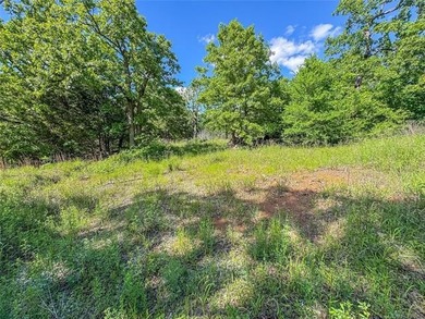 COME LIVE AT THE LAKE!!! This piece of land is close to ready - photo 10