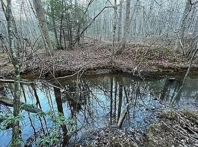 Nice creek front lot with lots of road frontage in Long Branch - photo 20