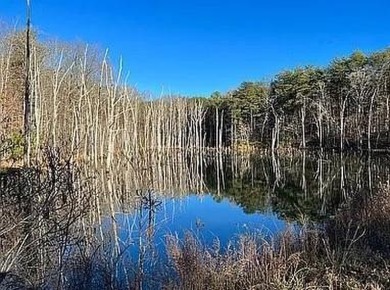 Nice creek front lot with lots of road frontage in Long Branch - photo 21