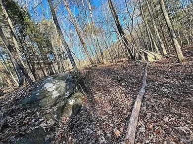 Nice creek front lot with lots of road frontage in Long Branch - photo 22