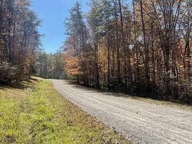 Nice creek front lot with lots of road frontage in Long Branch - photo 23