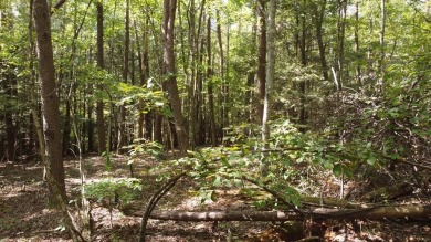 Nice creek front lot with lots of road frontage in Long Branch - photo 25