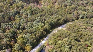 Nice creek front lot with lots of road frontage in Long Branch - photo 27