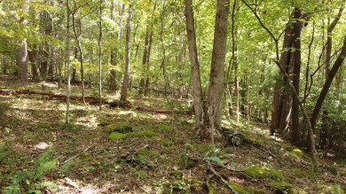 Nice creek front lot with lots of road frontage in Long Branch - photo 28