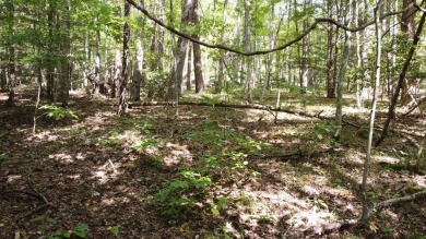 Nice creek front lot with lots of road frontage in Long Branch - photo 29