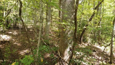 Nice creek front lot with lots of road frontage in Long Branch - photo 30