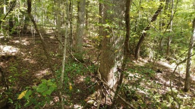 Nice creek front lot with lots of road frontage in Long Branch - photo 31