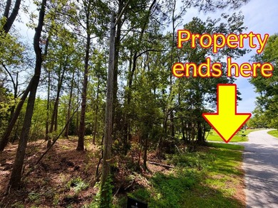 This offering features three lots combined into one property - photo 2