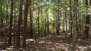 Nice creek front lot with lots of road frontage in Long Branch - photo 32