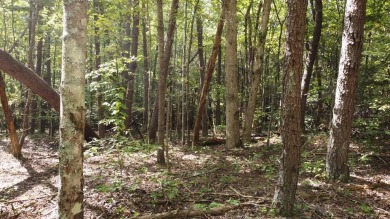 Nice creek front lot with lots of road frontage in Long Branch - photo 33