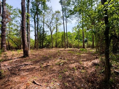This offering features three lots combined into one property - photo 4