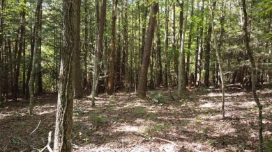 Nice creek front lot with lots of road frontage in Long Branch - photo 34