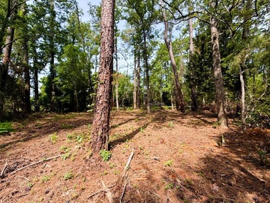 This offering features three lots combined into one property - photo 5