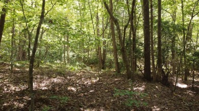 Nice creek front lot with lots of road frontage in Long Branch - photo 35