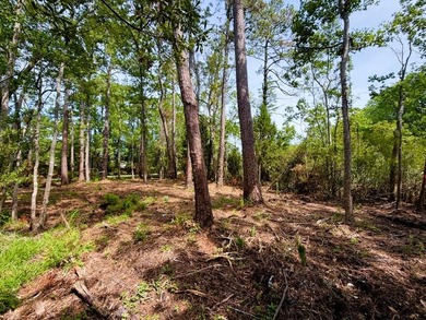 This offering features three lots combined into one property - photo 6