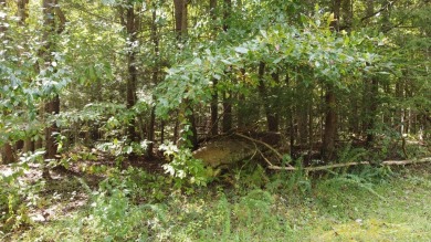 Nice creek front lot with lots of road frontage in Long Branch - photo 36